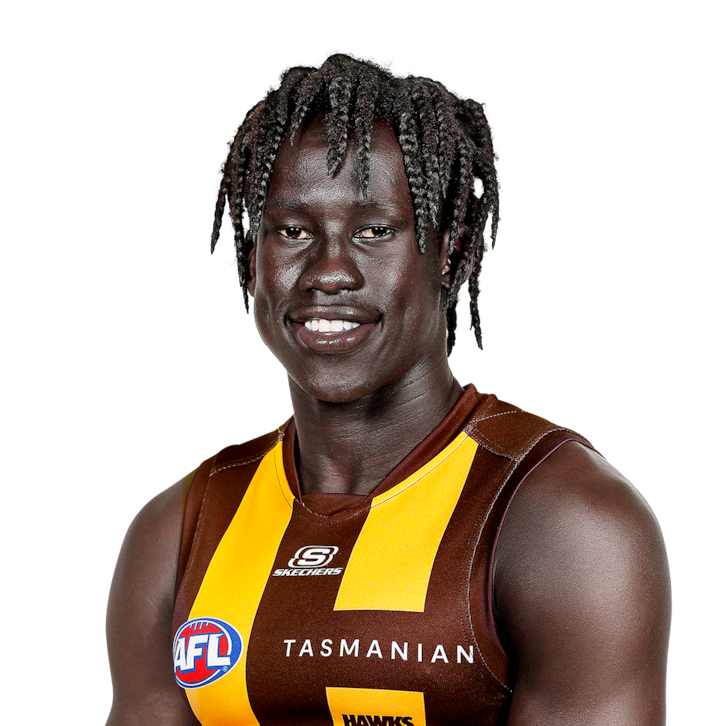 Hawthorn Hawks News AFL 2024 Zero Hanger